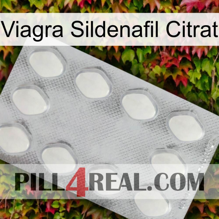 Viagra Sildenafil Citrate 16